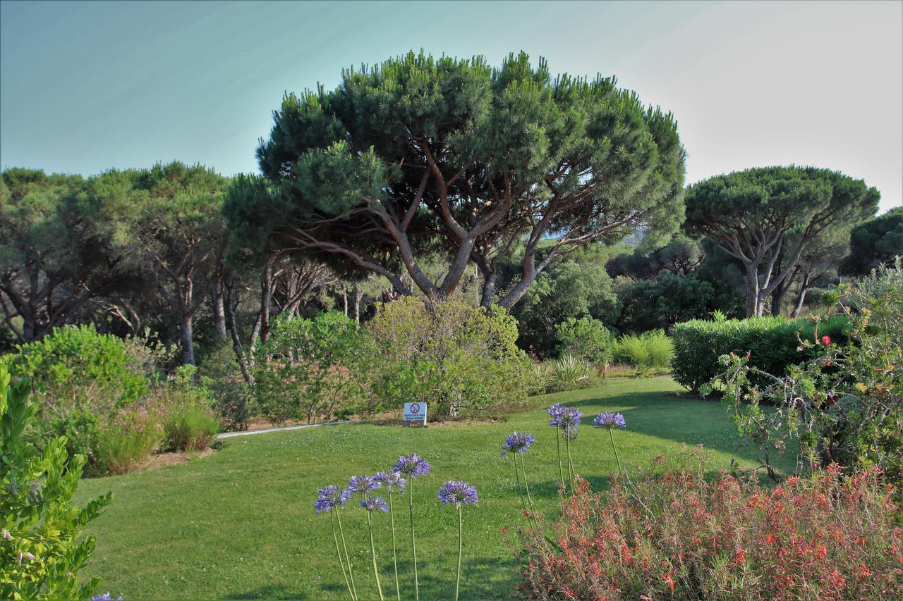 Appartement Les Pins Bleus A8 Sainte-Maxime Eksteriør billede